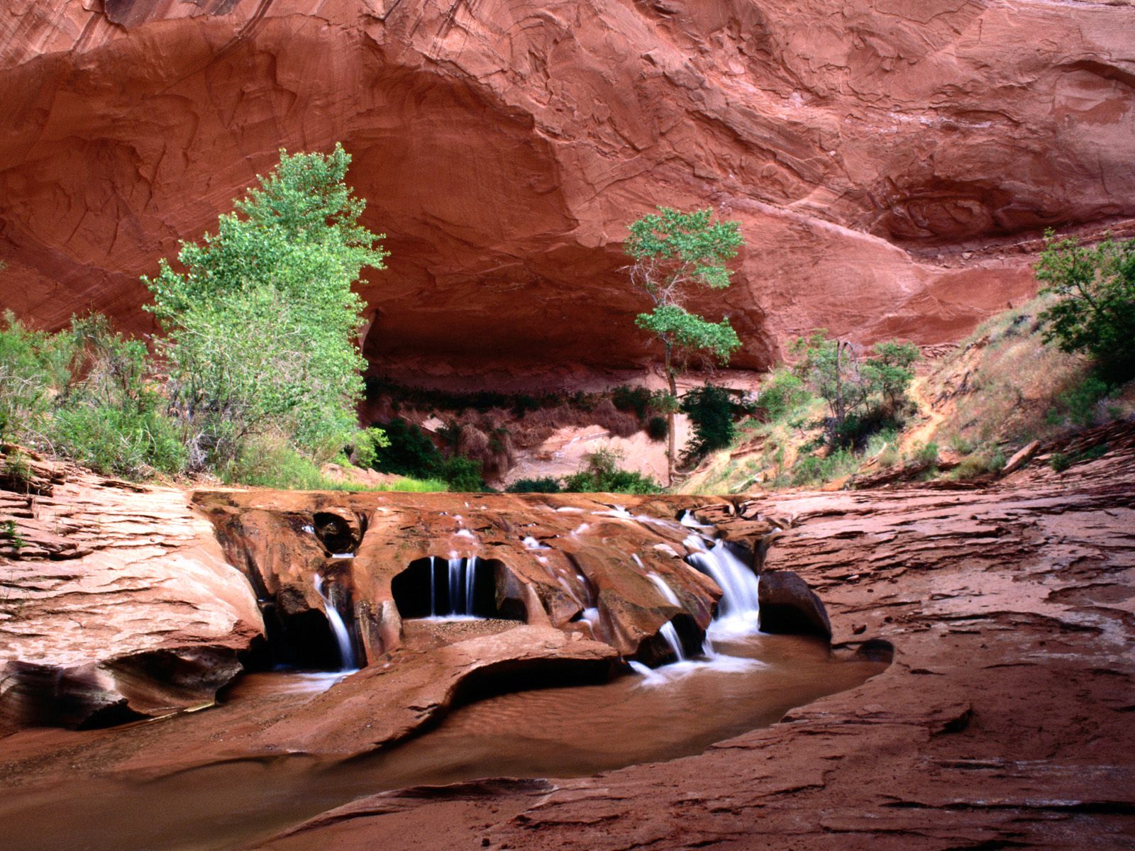 coyote-gulch--escalante-river-canyons--utah