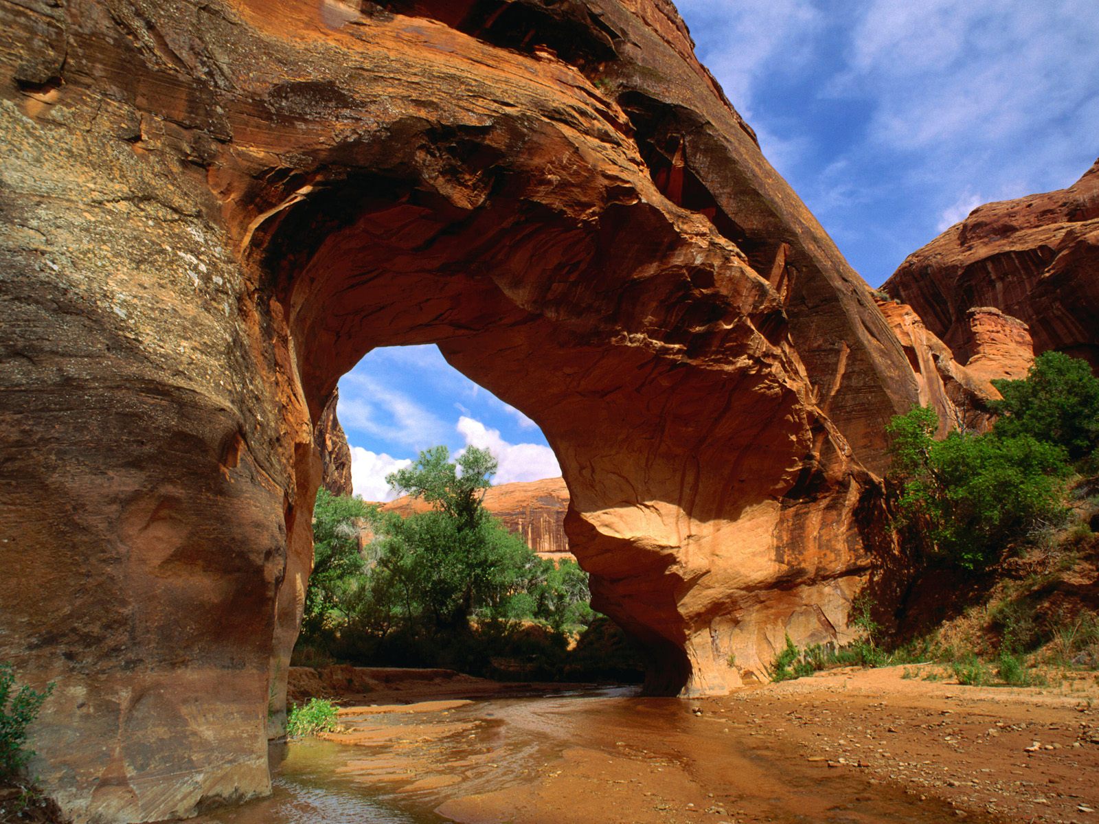 coyote-natural-bridge--glen-canyon--utah