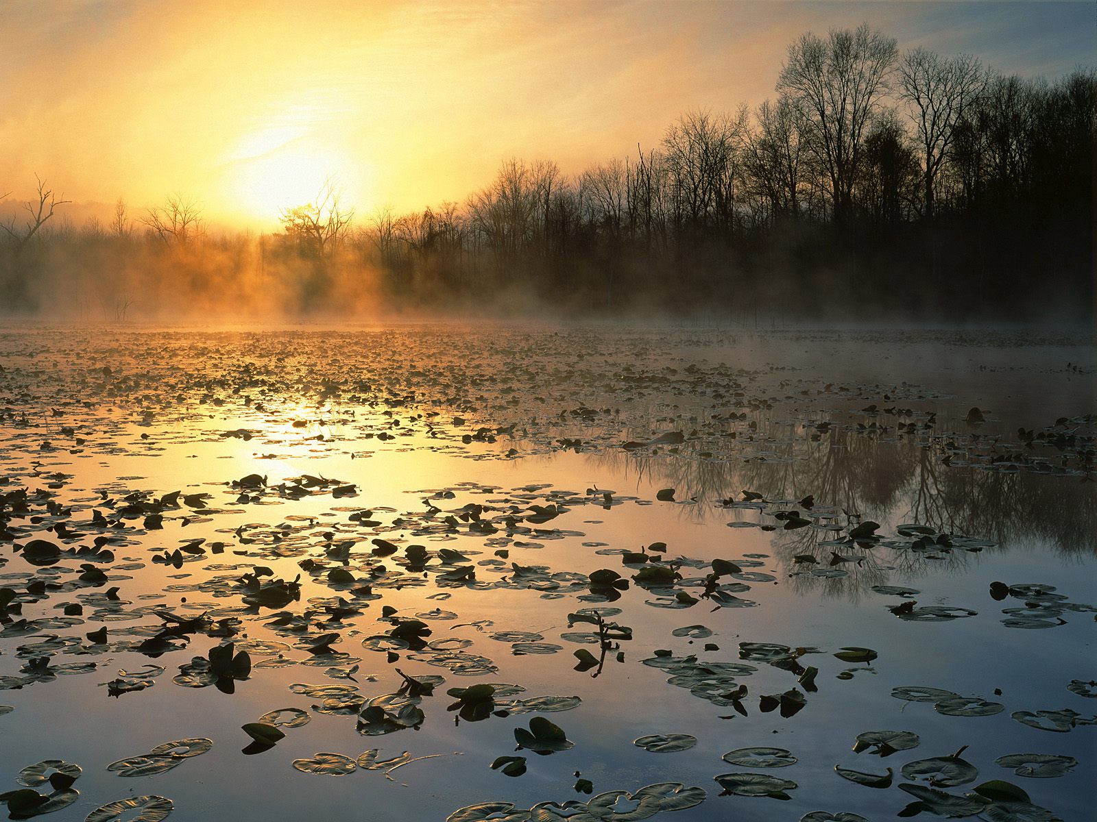 cuyahoga-valley-national-recreation-area-at-sunrise--ohio